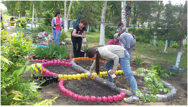 Проект «Цветущий двор» по благоустройству школьной территории